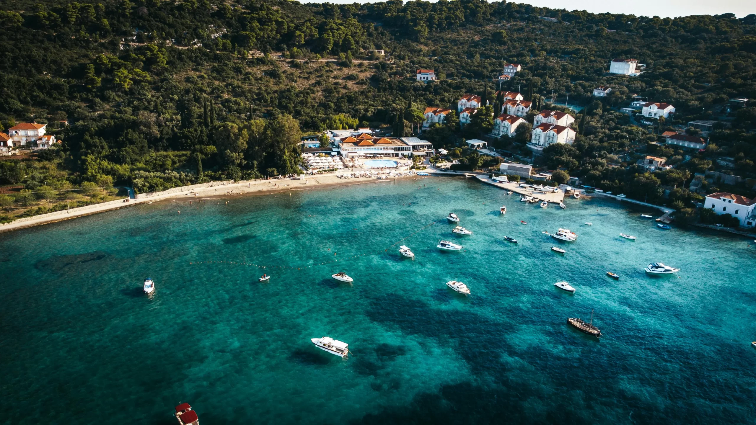 kolocep